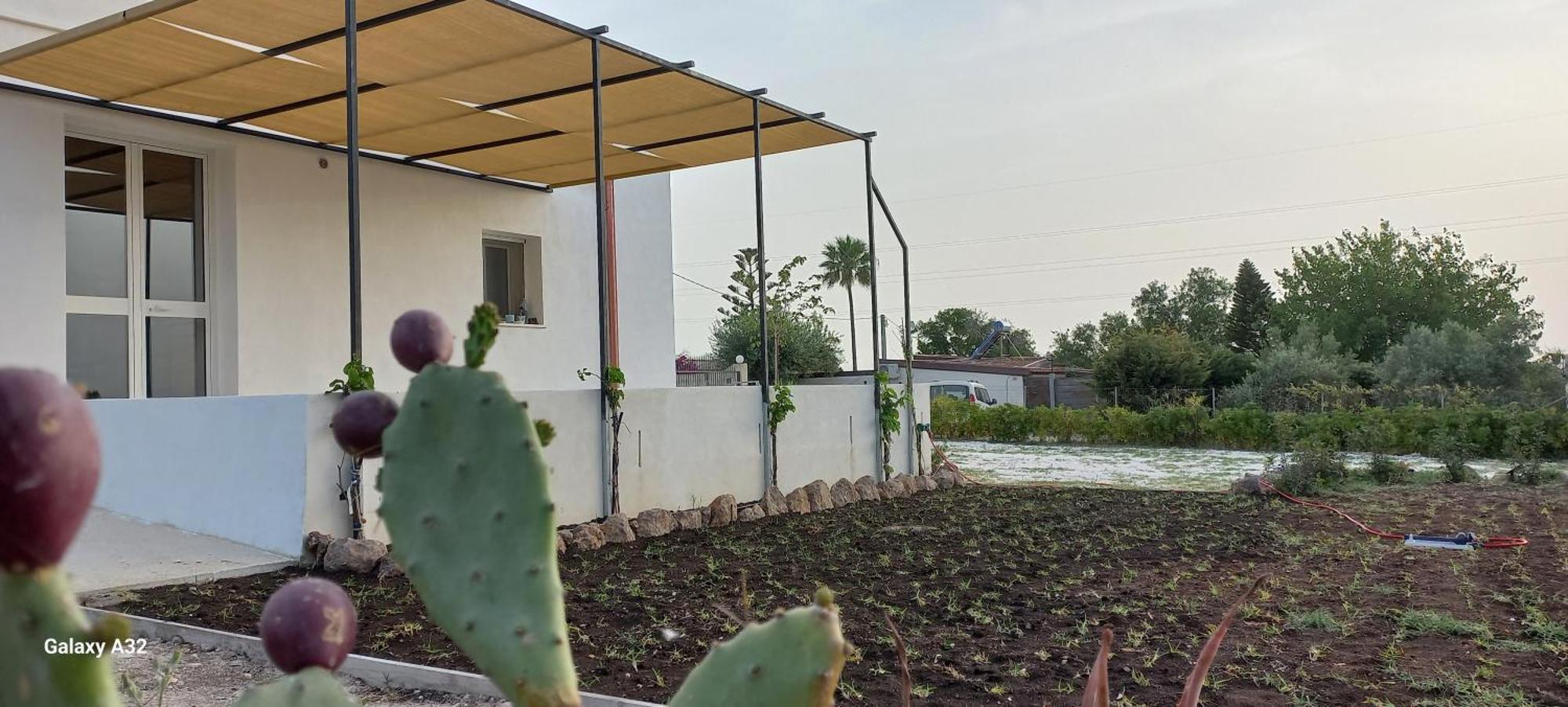 Almademari Giglio Casa Vacanza Пакино Номер фото